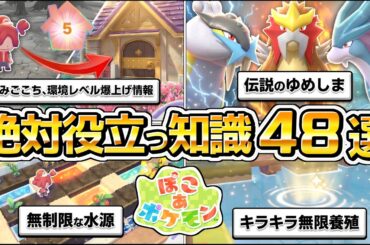 【ぽこあポケモン攻略】街づくりに役立つ情報48選。生息地、環境レベル（すみごこち）、農業と料理、ゆめしま、伝説のポケモン、エンテイ、ライコウ、スイクン