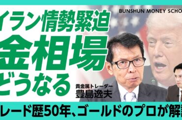 【イラン情勢・金価格はどうなる】金トレード歴50年の第一人者が解説｜金マーケットは「二極化している」｜短期・長期ダブル予想【豊島逸夫】