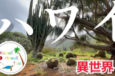 ハワイ【まるで異世界？】ココクレーター ボタニカル ガーデン〜どこでもプライベートツアー