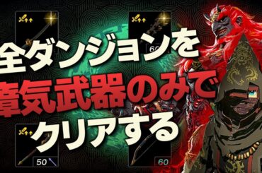 オールダンジョン装備縛り攻略解説『瘴気武器編』【ゼルダの伝説 ティアーズ オブ ザ キングダム】
