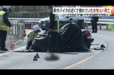 早朝の国道で67歳女性が死亡　「横転バイク＋動物の死骸」何が起きたのか　原因捜査中 (26/03/09 19:40)