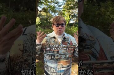 広瀬すずさんのオーラ🚪