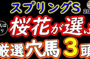 スプリングステークス2026厳選穴馬3頭｜人気は飾り！皐月賞トライアルで展開ハマる盲点の伏兵【スプリングS】