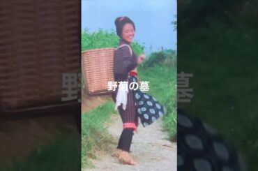 聖子ちゃん旋風が巻き起こった時代野菊の墓 #昭和映画 #松田聖子 #懐かしい歌