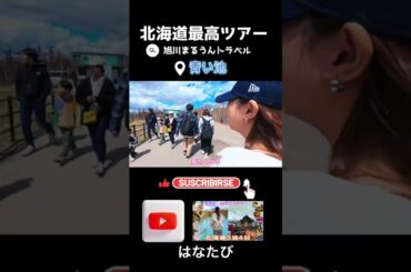 北海道バスツアー🚌