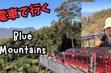 【完全ガイド】電車で行くブルーマウンテンズ｜オプショナルツアー vs 自分で行く｜シドニー近郊日帰り旅