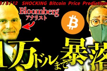Bloomberg衝撃予想。『ビットコインは1万ドルまで暴落する』の根拠とは？最新ドル建てチャート分析！【SHOCKING Bitcoin Price Prediction】