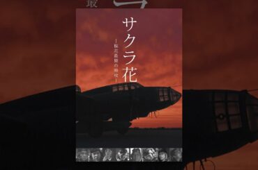 サクラ花　桜花最期の特攻