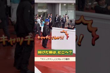 桜花賞連覇の偉業後の離れ業⁉️💦これぞ、マジックマン、モレイラ騎手✨エンブロイダリー号#shorts #競馬 #騎手 #horse #桜花賞