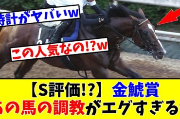 【金鯱賞】【S評価!?】あの馬の調教がエグすぎてファン騒然!?www