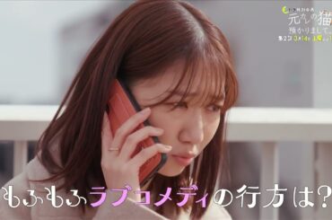 3/7(土),14(土)23:40〜2週放送！土ドラ特別企画「元カレの猫を、預かりまして。」第2話