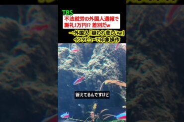オールドメディア「不法就労の外国人通報で謝礼1万円!? 差別だw」→早速インタビューで印象操作w
