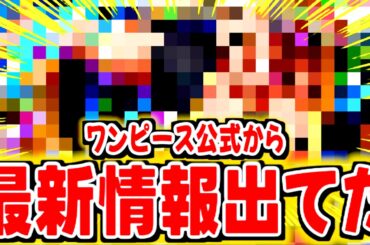 えっ？ワンピース公式から最新キャラ情報出てるじゃん【バウンティラッシュ】
