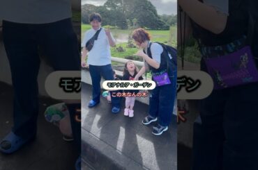 【ハワイ】どこでもプライベートツアー・2月23日 U様＃カワイイハワイツアー ＃ハワイツアー ＃ワイキキ #アウラニ