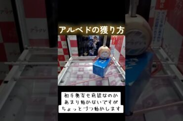 #クレーンゲーム #攻略 #末広がり #オーバーロード #アルベド  オーバーロード  TikTok