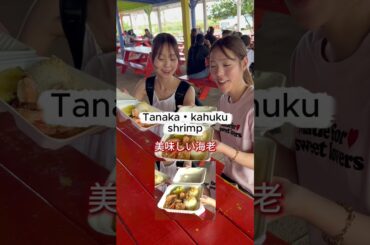 【ハワイ】どこでもプライベートツアー・2月17日 M様＃カワイイハワイツアー ＃ハワイツアー ＃ワイキキ #アウラニ