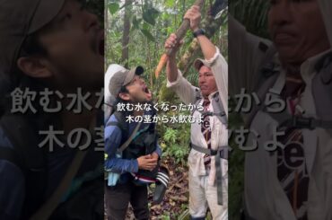 モンハンの世界のアマゾンジャングルツアー