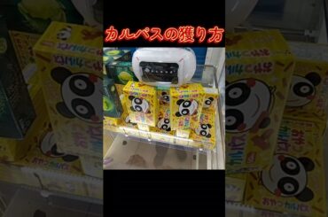 #クレーンゲーム #攻略 #カルパス #おやつカルパス #ドミノ置き