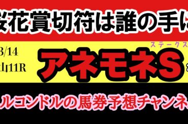 エルコンドルのアネモネステークス2026予想｜桜花賞TRで権利争い激化！バルボアパーク・ディアダイヤモンドら激突！非凡な才能の伏兵が激戦を断つ！