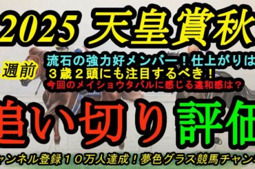 【1週前追い切り評価】2025天皇賞秋！この後注目の大一番で好メンバー！3歳ミュージアムマイル、マスカレードボールにも注目！メイショウタバルの違和感？