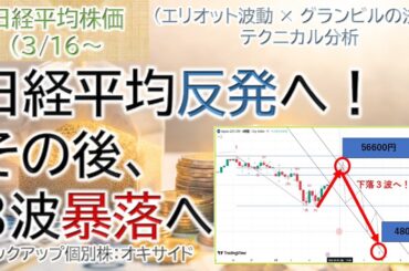 日経平均反発へ！上値目途56600円｜その後の本格下落3波を徹底解説【日経平均株価予想3/16～】