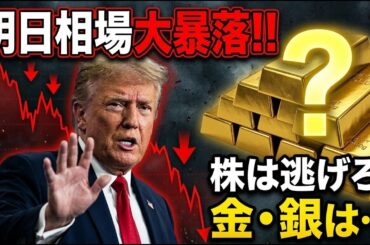 【緊急事態】明日、歴史的な大暴落が来ます。トランプの標的と「金・銀・株」の最終シナリオ！