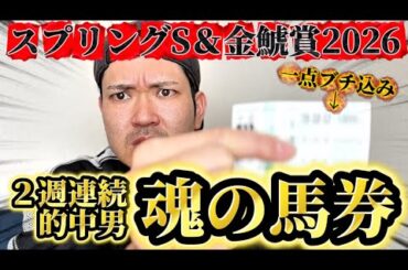 【競馬】金鯱賞＆スプリングステークス2026結果