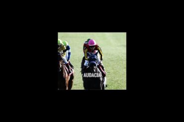 皐月賞2026 有力馬 【Amor Na Praia】