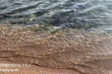 [Vie/Jap] 天国に一番近い島(原田知世) - Tengoku ni ichiban chikai shima (Harada Tomoyo)