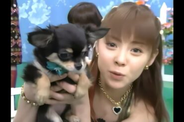 (Talk) 最強アイドル対決／ごまっとう (松浦亜弥・後藤真希・藤本美貴) 2002