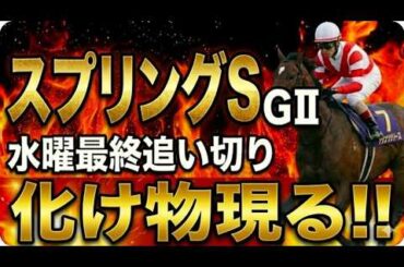 最終追い切り徹底解説【2026スプリングS】有力馬診断｜軍師AI競馬予想｜怪物クレパスキュラーか？ホープフル3着アスクエジンバラか？皐月賞トライアル徹底分析｜有力馬診断＆穴馬2頭も徹底解説