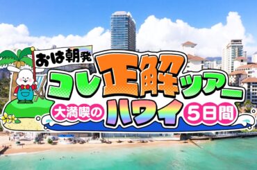 おは朝コレ正解ツアー＜ハワイ＞