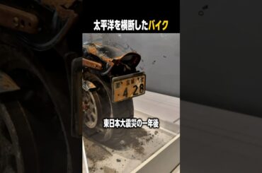 地球の裏側で祈りを捧げているバイク