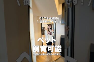 【ペット飼育可能】ことでん瓦町駅徒歩約6分☆おしゃれな単身物件♡オートロック付！高松市塩上町1R｜高松の不動産グローバルセンター#高松市 #内見ツアー #ルームツアー動画 #高松賃貸