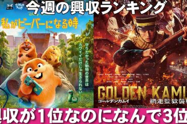 興収１位でも動員は３位？【俺的映画速報Vol.364/第1部】【ドラえもん 私がビーバーになる時 ゴールデンカムイ ウィキッド 超かぐや姫！ 映画レビュー 考察 興行収入 興収 filmarks】