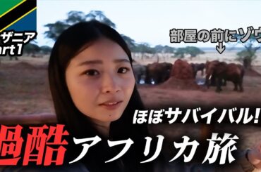過酷すぎた念願のサファリツアー【タンザニア】Part 1
