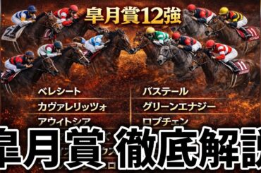 【皐月賞】皐月の12強を徹底解説します🎯