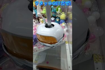 #クレーンゲーム #攻略 #ポケモン30周年 #ポケモン #ワタッコ