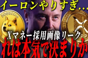 『イーロンがリーク』4月導入のXマネーのプロフィールがとある仮想通貨に変わっていた件。