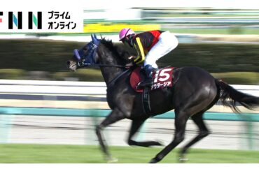 【大阪杯＆皐月賞へ 春を動かすダブル重賞金鯱賞＆スプリングS・GⅡ】金鯱賞はシェイクユアハートが大接戦制し重賞2勝目！スプリングステークスではレースレコード更新！アウダーシアが豪快な差し切りV