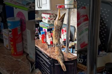 メディアが伝えるロシアと、実際に暮らすロシアのギャップ