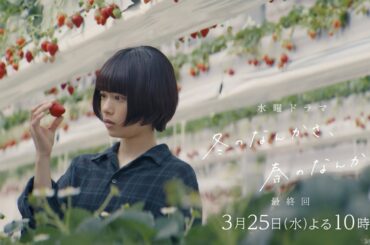 【最終回 予告】主演・杉咲花×監督/脚本・今泉力哉「冬のなんかさ、春のなんかね」毎週水曜よる10時【日テレ系 水曜ドラマ】