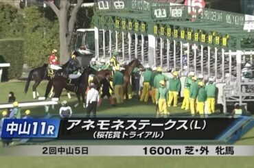中山11R アネモネステークス（L） 〈桜花賞トライアル〉