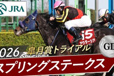 2026年 スプリングステークス（GⅡ） | アウダーシア | JRA公式