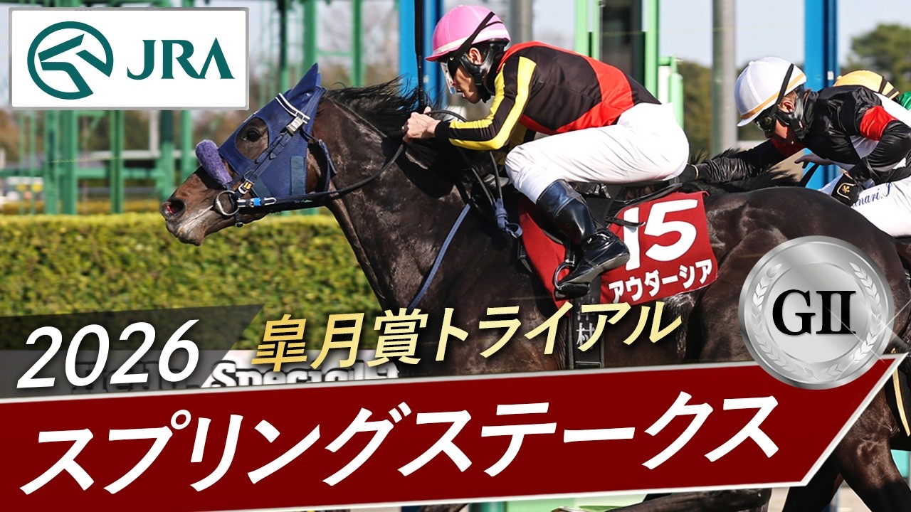 2026年 スプリングステークス(GⅡ) | アウダーシア | JRA公式 2026年 スプリングステークス(GⅡ) | アウダーシア | JRA公式