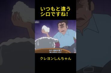 いつもと違うシロですね！#クレヨンしんちゃん #コントチャンネル #おもしろ動画 #アニメ #面白集 #ドッキリ #面白い #コント #ジブリ #笑える