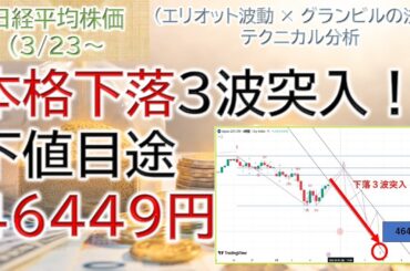 日経平均本格下落３波突入｜下値目途46449円｜3波投資戦略を徹底解説【3/23～日経平均株価予想】