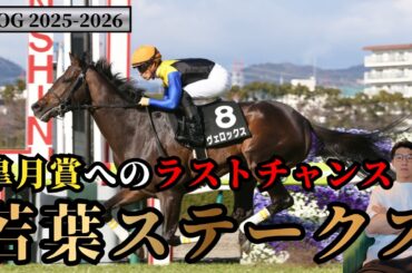【POG2025-2026】皐月賞へのラストチャンス！若葉ステークス！注目馬 3頭を紹介！