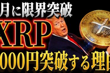 ✨XRP保有者おめでとう✨4月にXRPが1000円突破する理由判明‼️【暗号資産　最新情報】