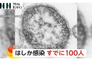 はしか感染者数100人　海外から入ったウイルスに感染か（2026年03月17日）